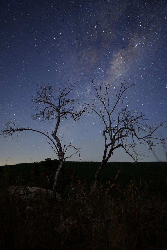 Photograph by Andrew Becker