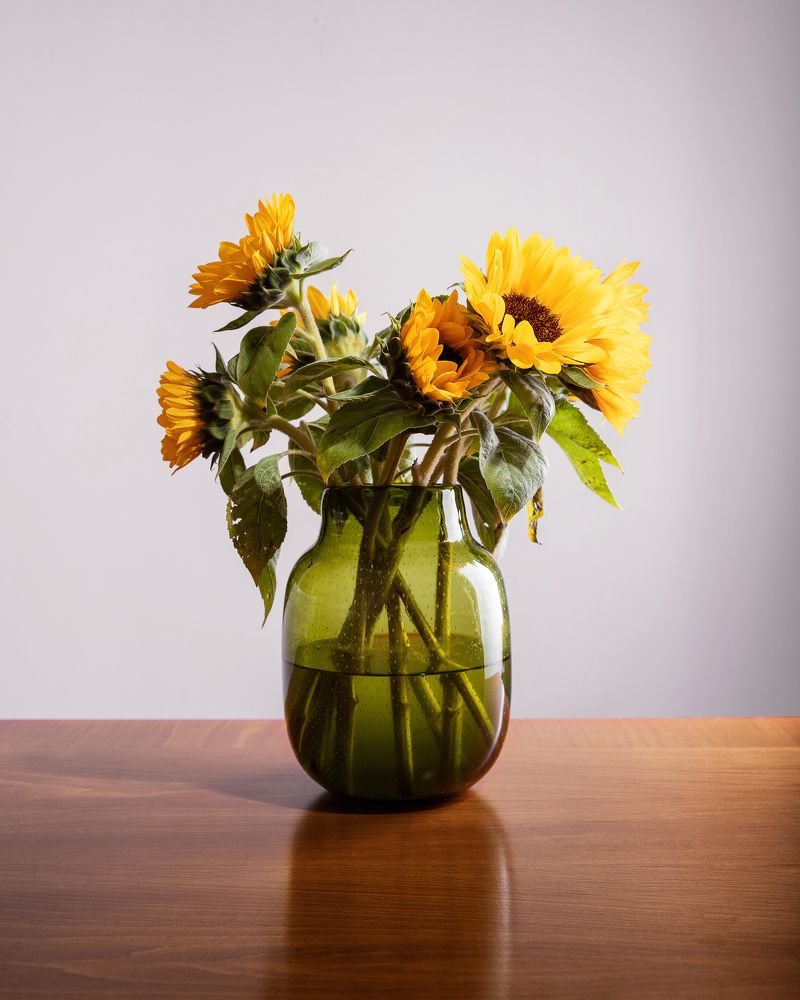 Photograph by Timur Korotkov