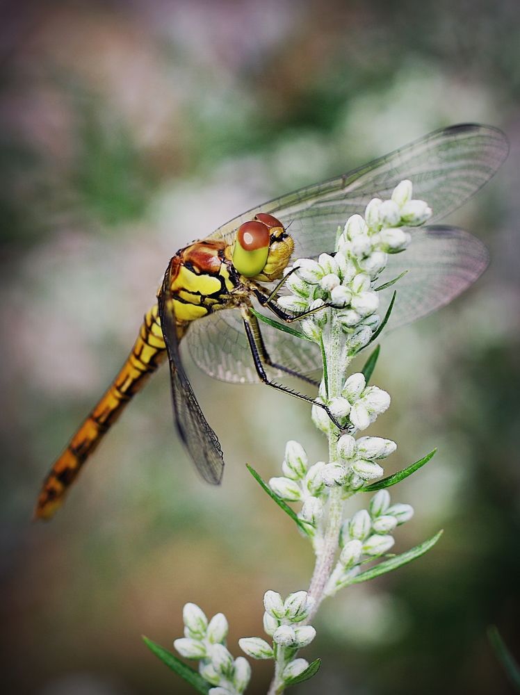 Photograph by Krzysztof Trojanowski