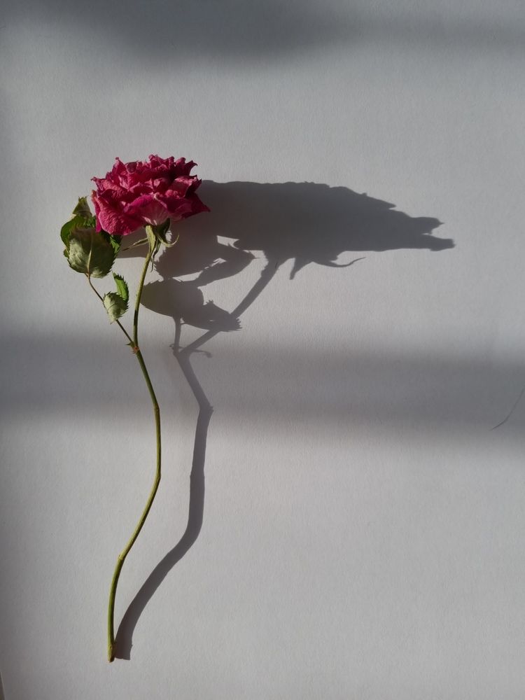 Photograph by Александра Кузнецова
