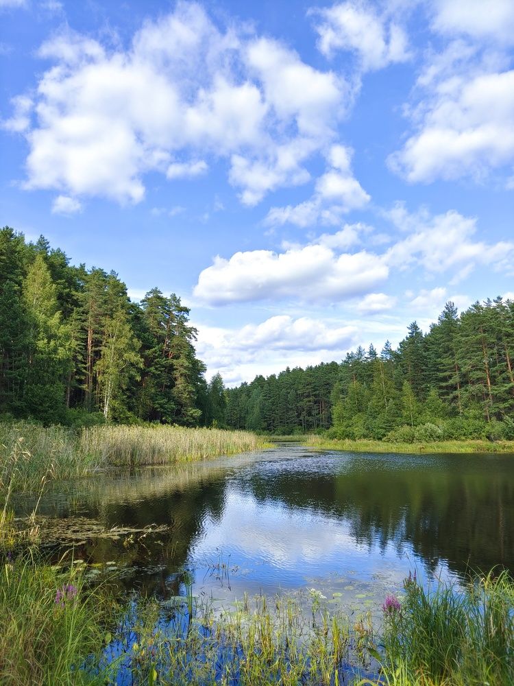 Photograph by Игорь Дмитриев