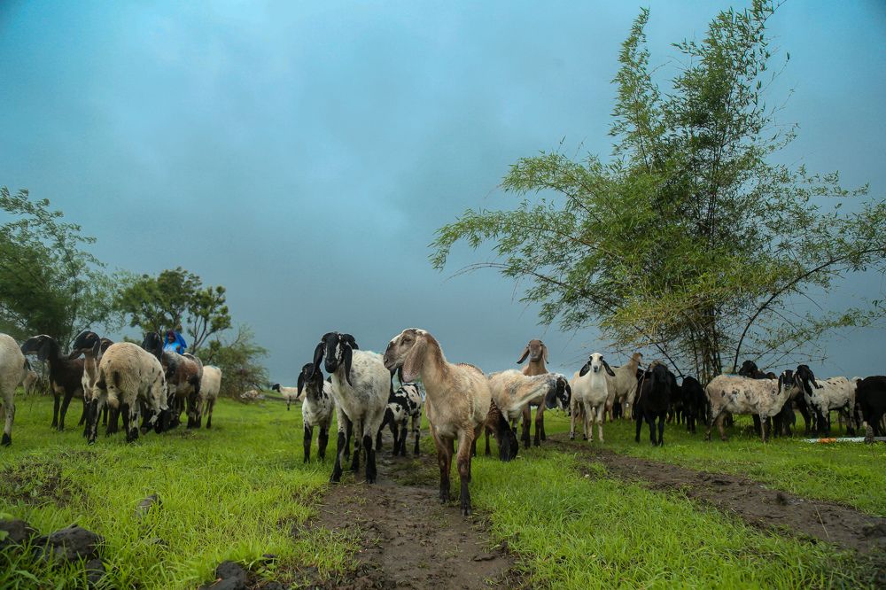 Фотография автора Mohammad Asif