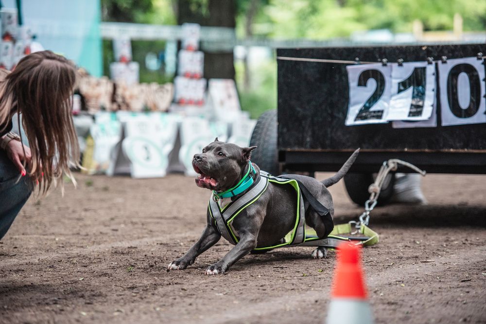 Photograph by Виола Поликарпова