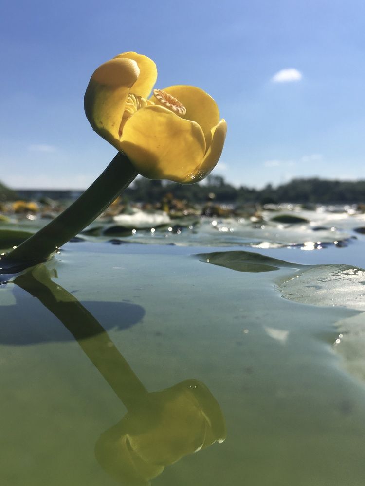 Photograph by Сергей