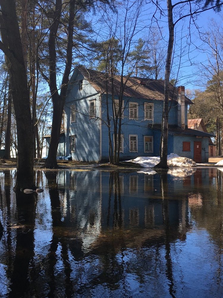 Весна в Зеленогорском парке