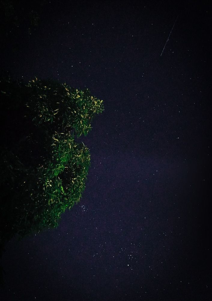 Photograph by Thimir adinisuru Ayththapulige