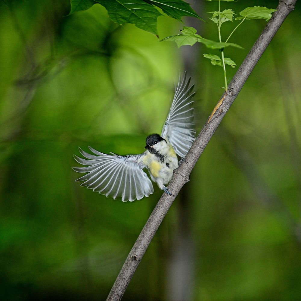 Photograph by 