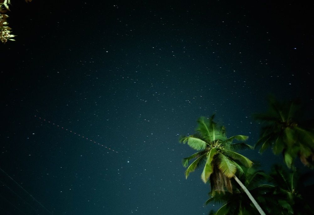 Photograph by Minula Nikeshala