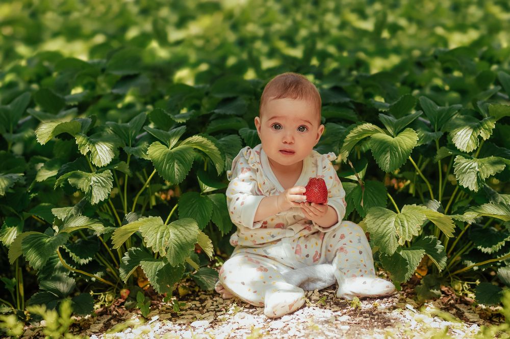 Photograph by Эллина Гауш