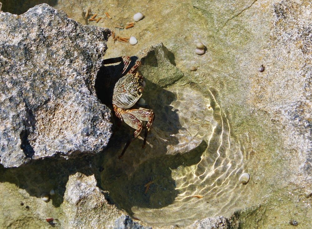 Photograph by Тимур Жилкибаев