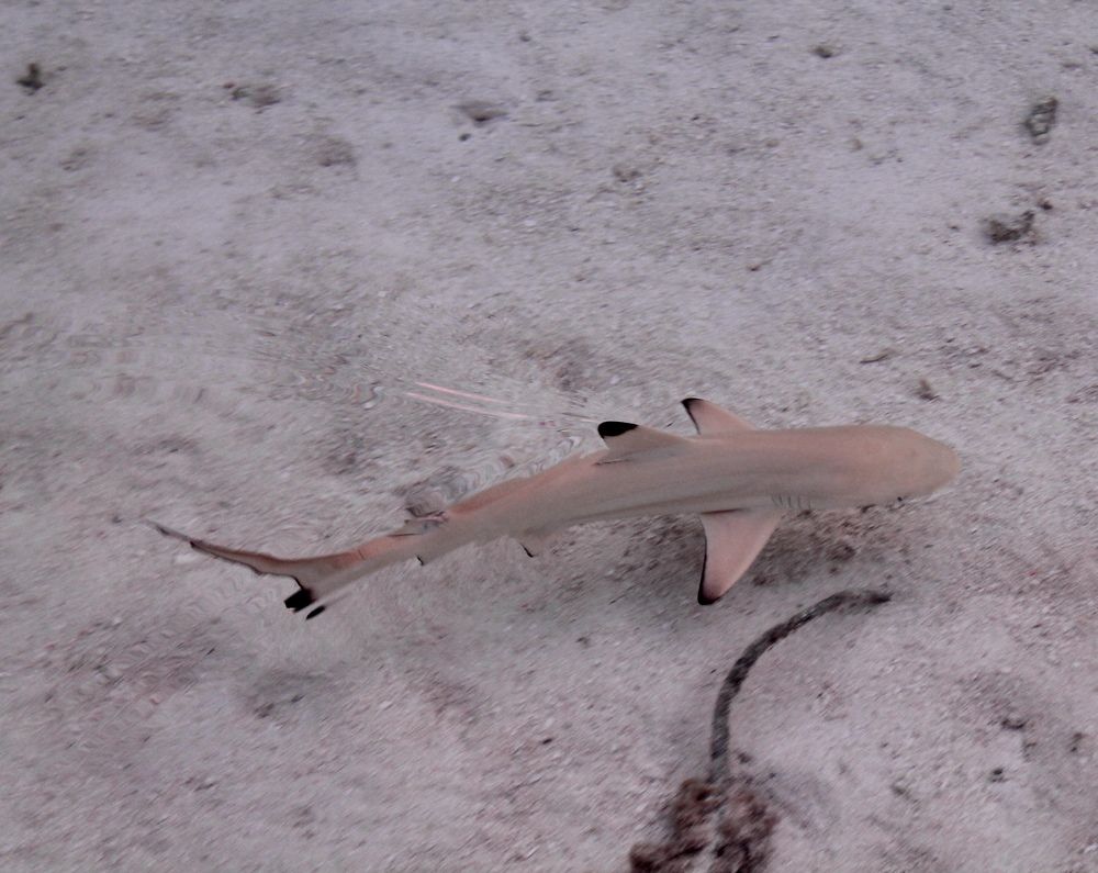 Photograph by Тимур Жилкибаев