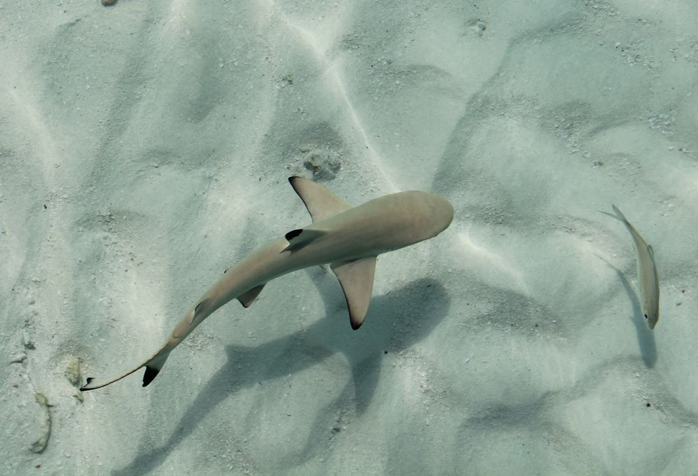 Photograph by Тимур Жилкибаев