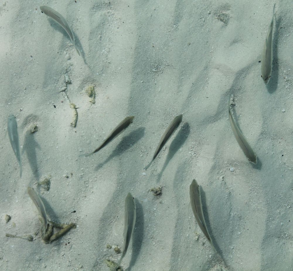 Photograph by Тимур Жилкибаев