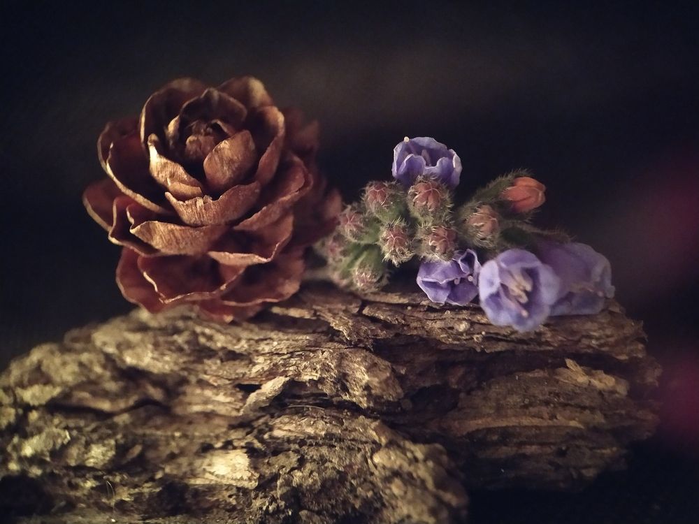 Photograph by Алексей Горин