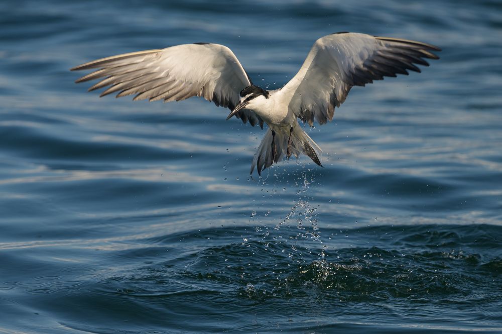 Photograph by Benny Chan