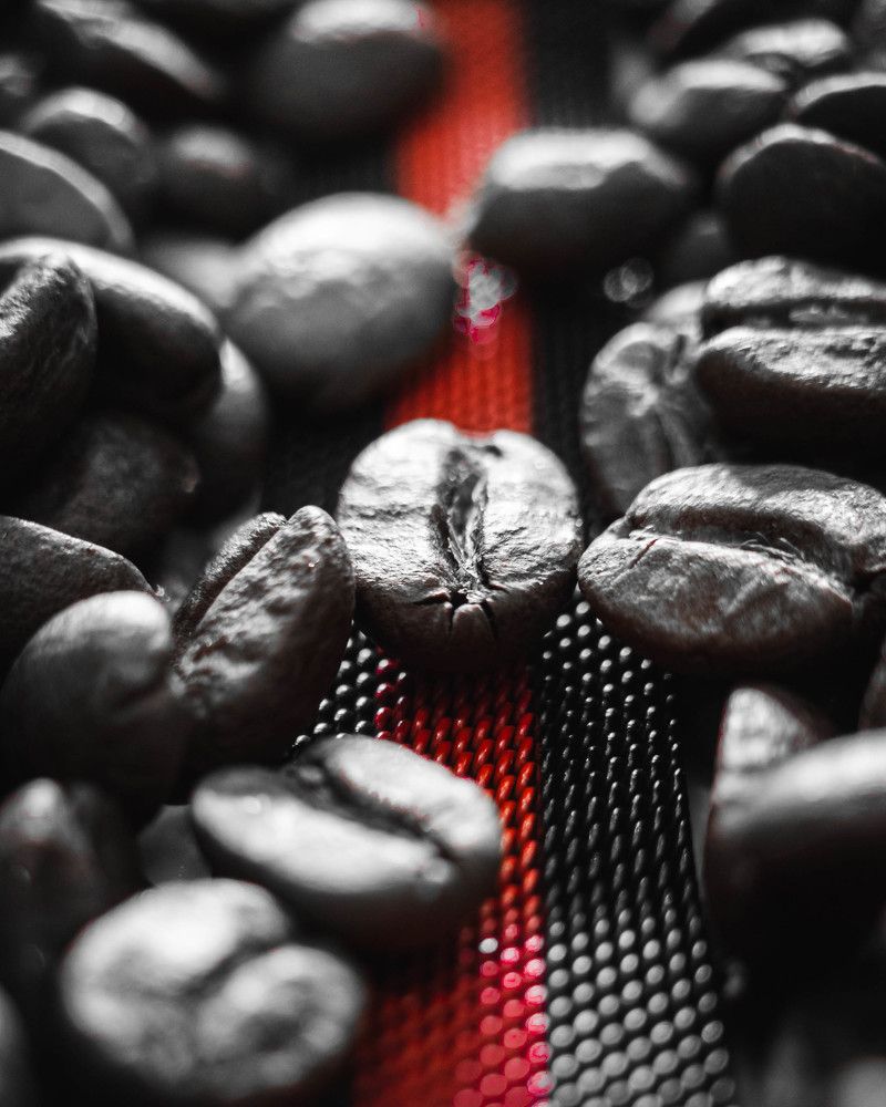 Фотография автора олег романов