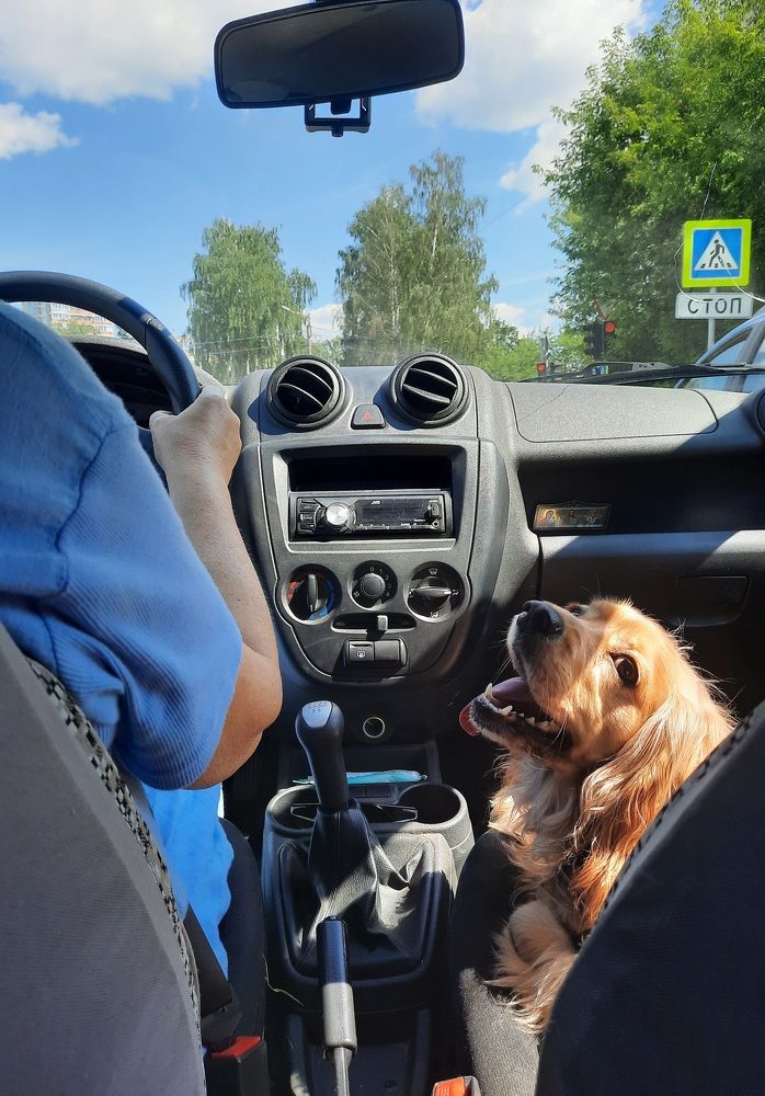 Photograph by Светлана Конева