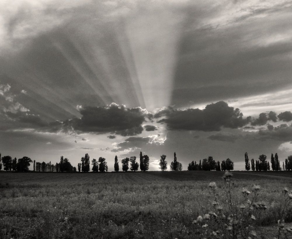 Photograph by Орынбек Асилбаев