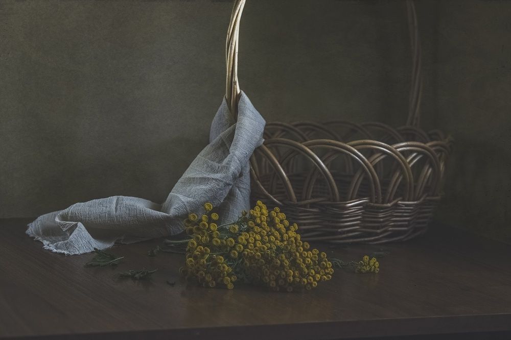 Photograph by Inna Gritsik