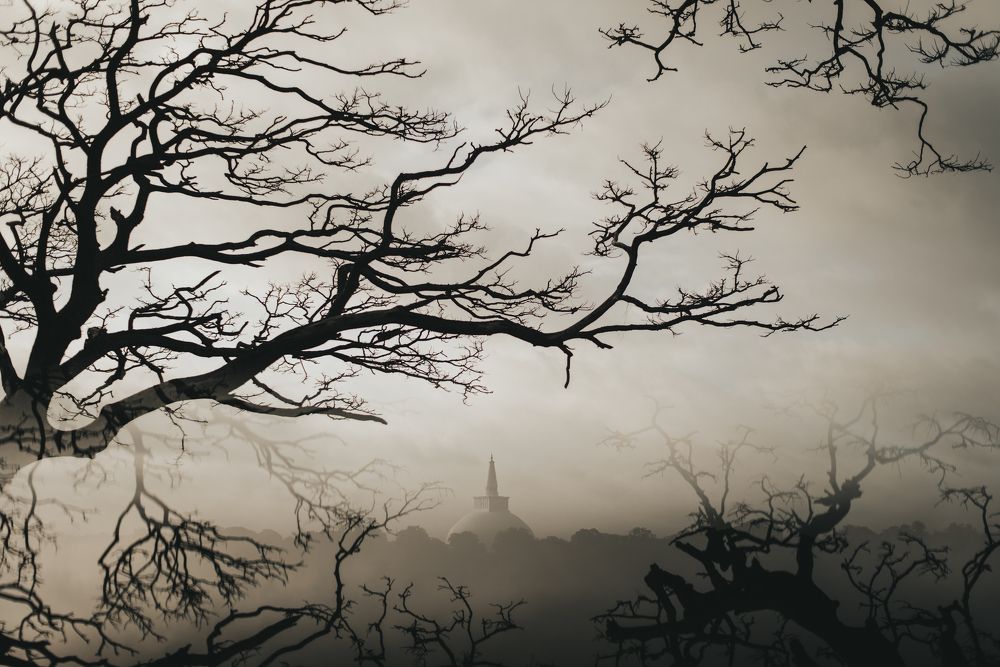 Photograph by HImesh chathuranga