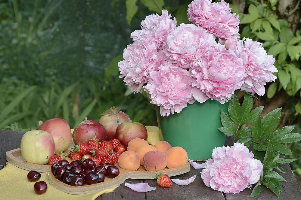 Photograph by Соколова Елена