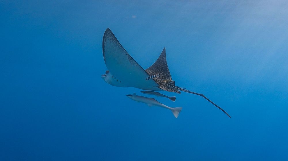 Photograph by Мария Берёзка