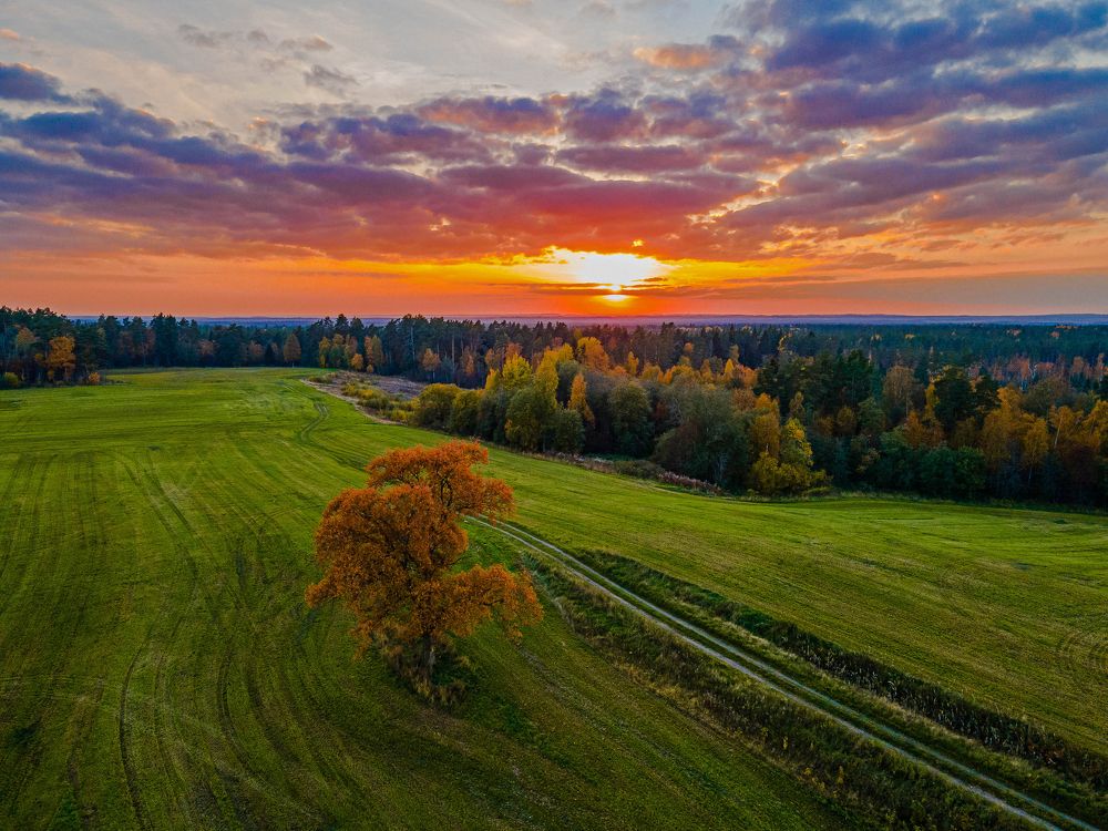 Photograph by Андрей Копылов