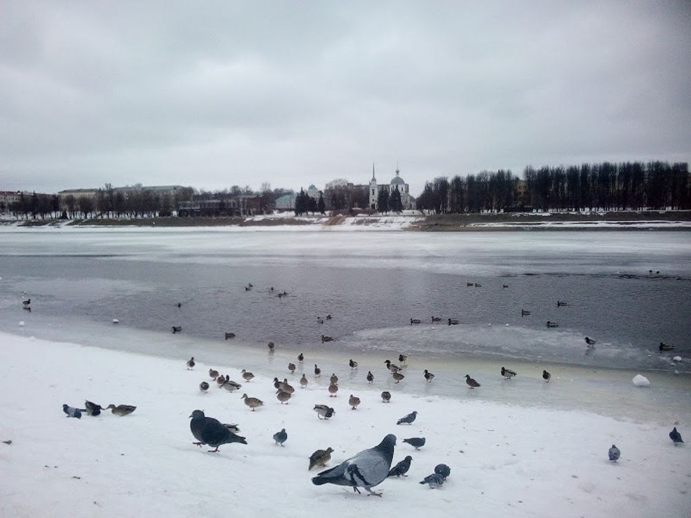 Photograph by Ася Кузьмина