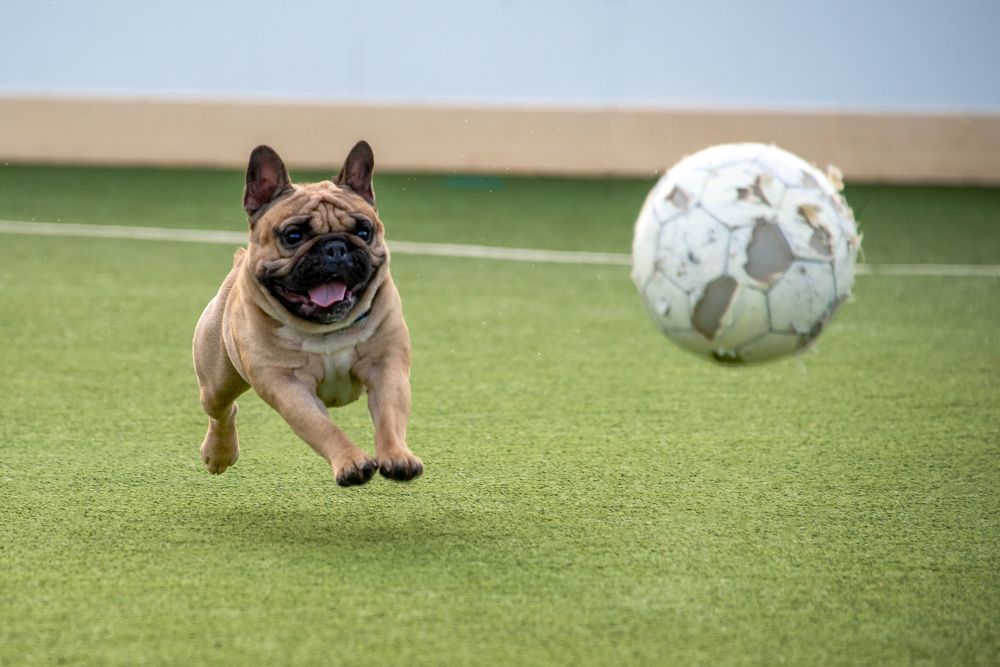 Photograph by Кадырова Марина