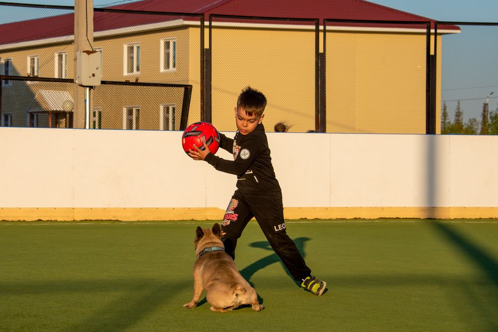 Photograph by Кадырова Марина