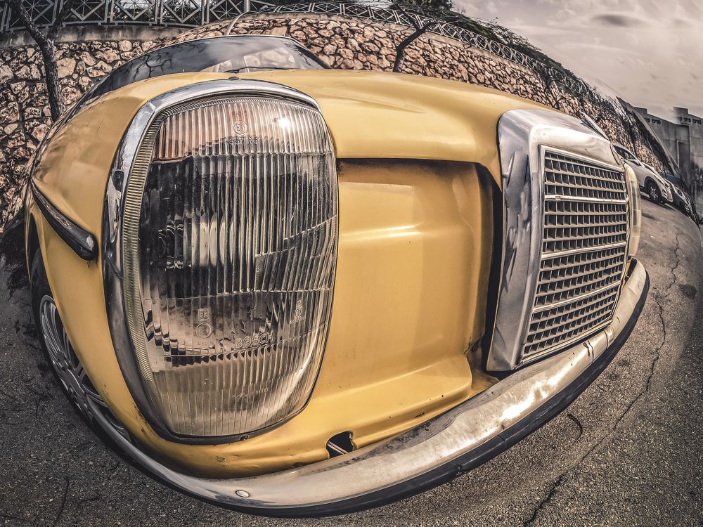 Photograph by Semion Ribinik