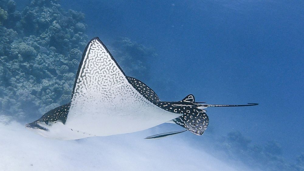 Photograph by Мария Берёзка