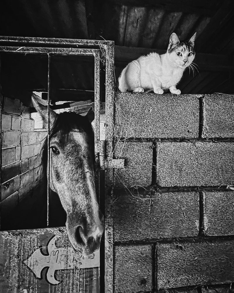 Photograph by Антонина Наговицына