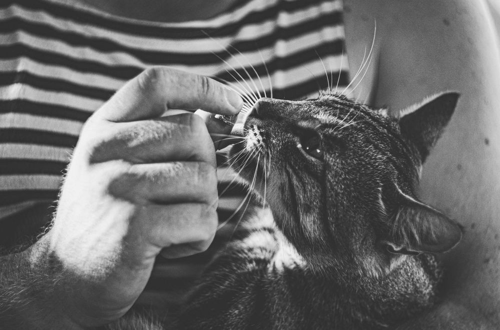 Photograph by Антонина Наговицына