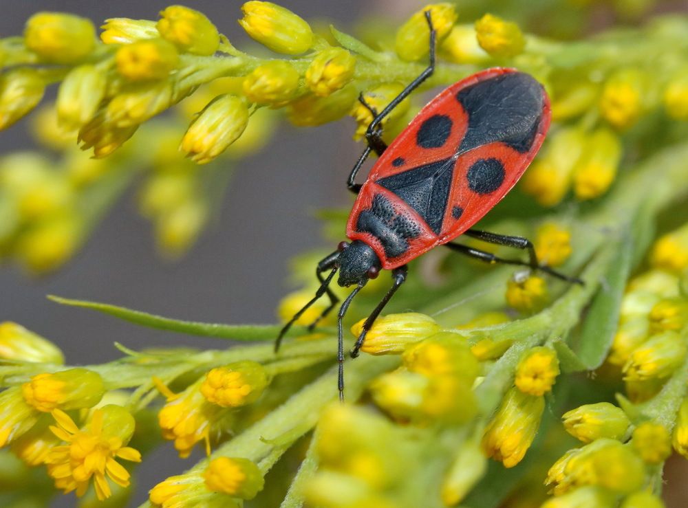 Photograph by Игорь Осипов