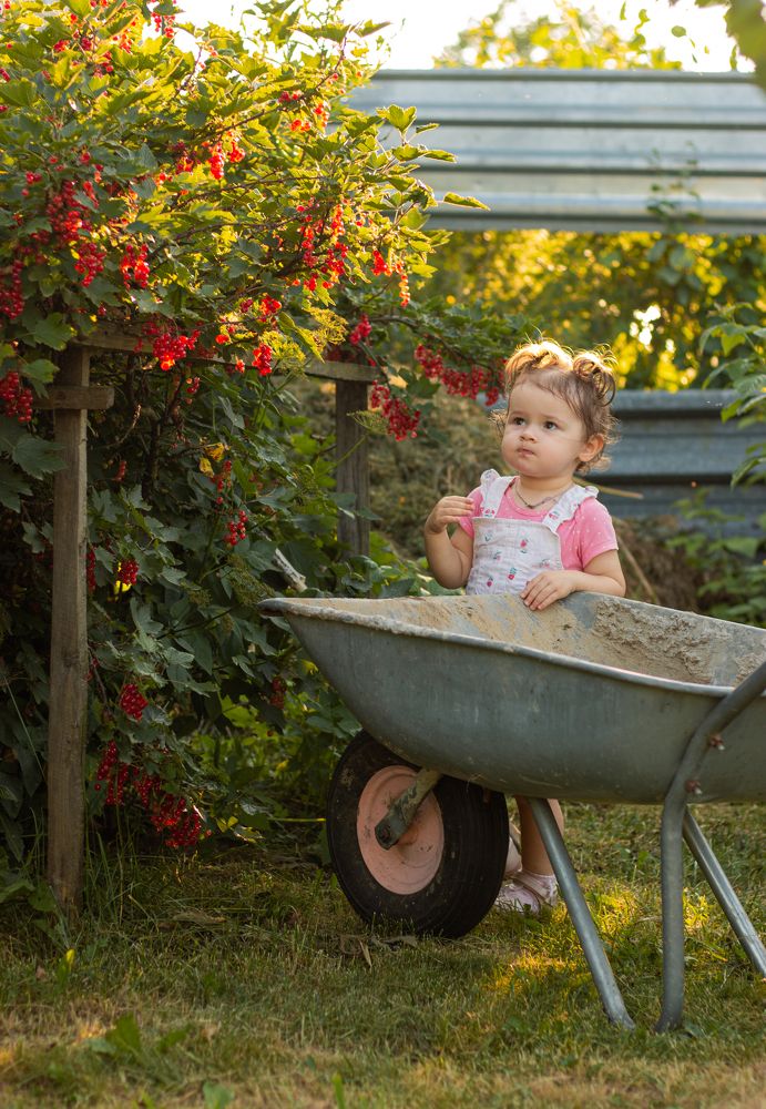 Лето в деревне