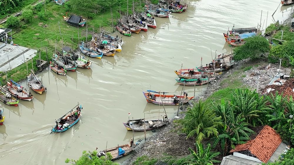 Фотография автора Ib Mang