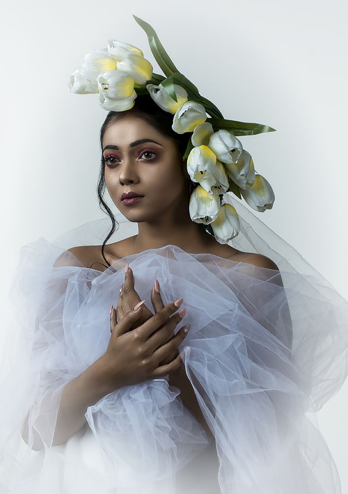 Фотография автора DHIMAN NATH
