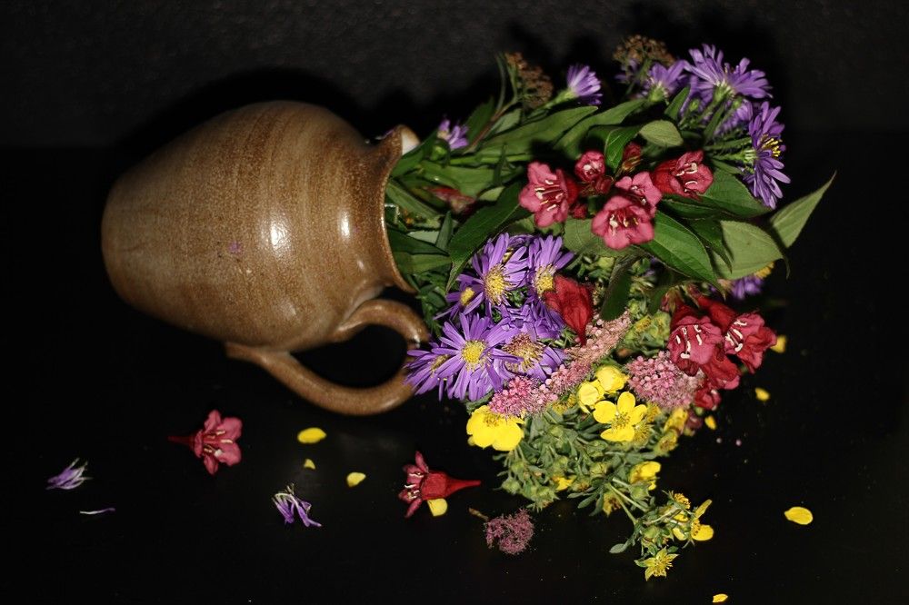 Photograph by Lena Feldman