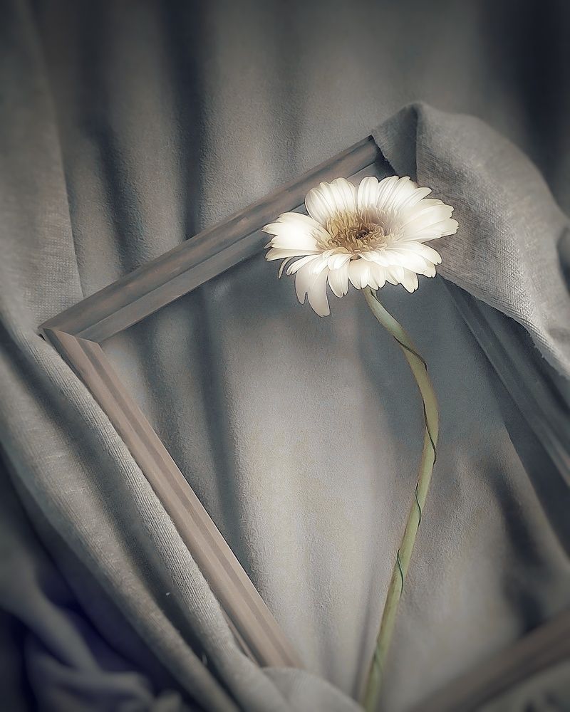 Портрет гордеца