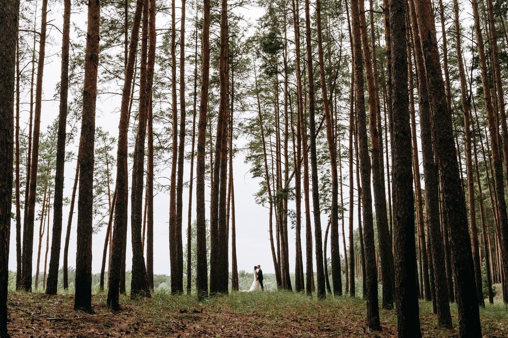 Photograph by Анна