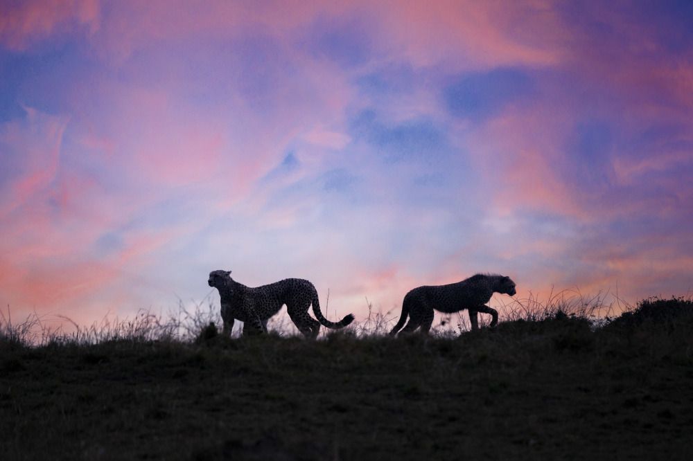 Фотография автора Dr.Hitesh Patel