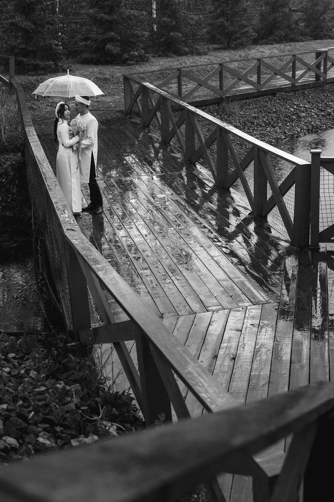 Фотография автора Тема Цезарь