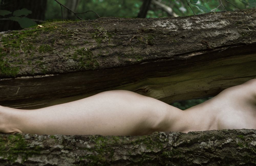 Photograph by Максимов Петр