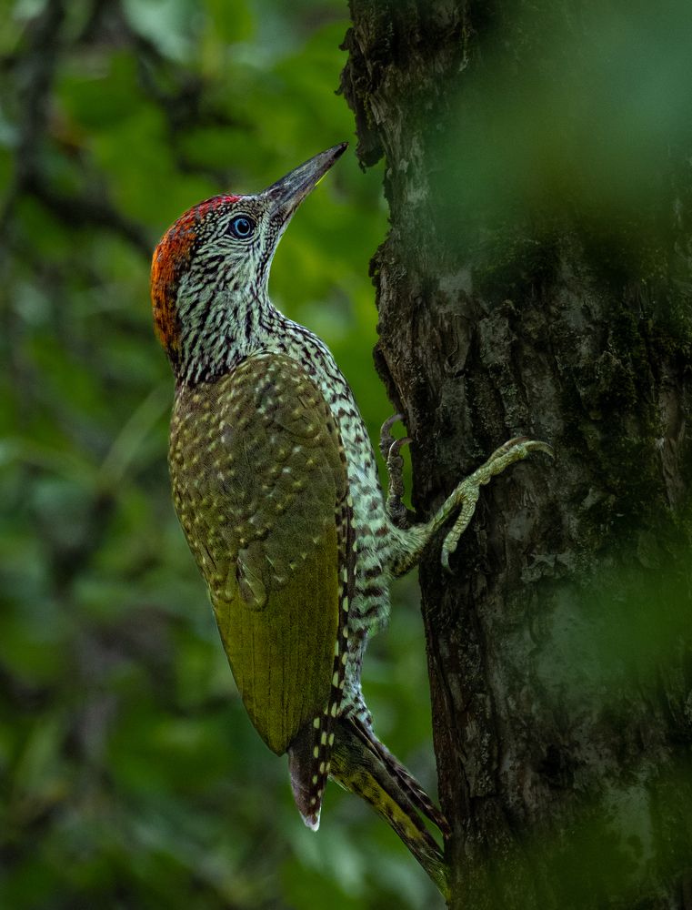 Photograph by Курлянцев Алексей