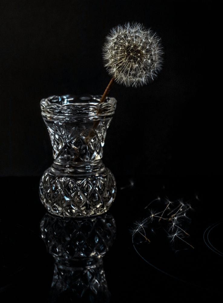 Photograph by Лидия Чугришина