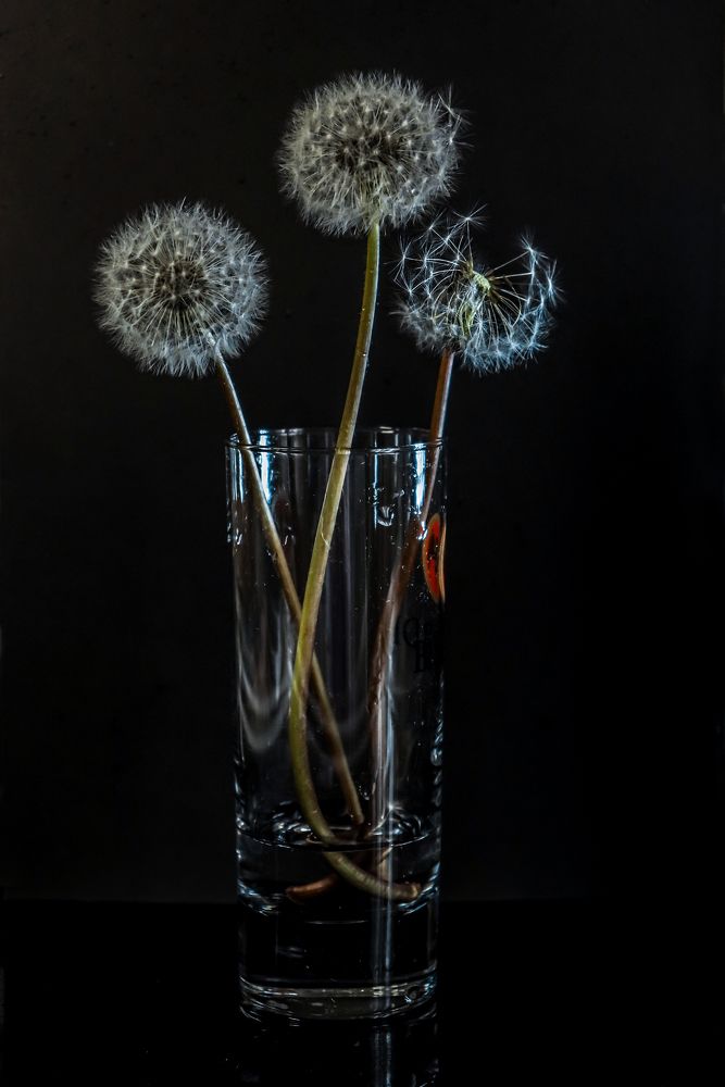 Photograph by Лидия Чугришина