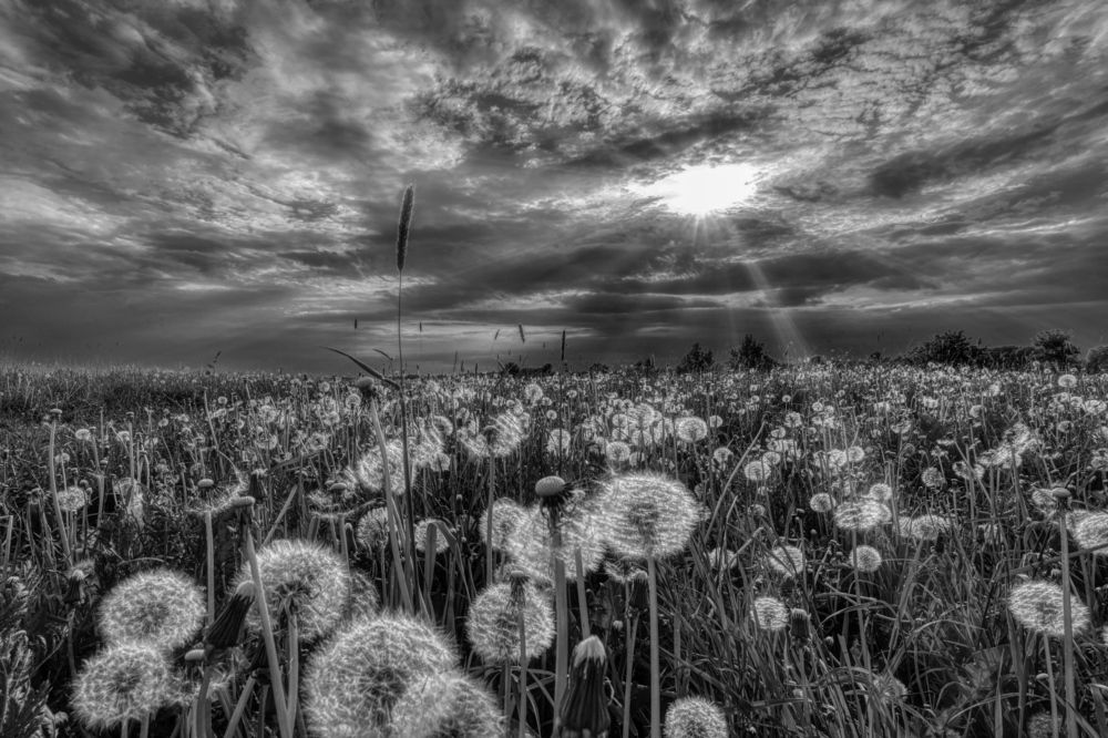 Photograph by Людмила ЧЕРНИКОВА