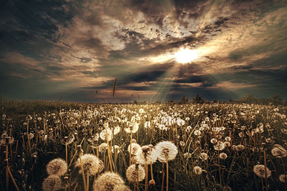 Photograph by Людмила ЧЕРНИКОВА