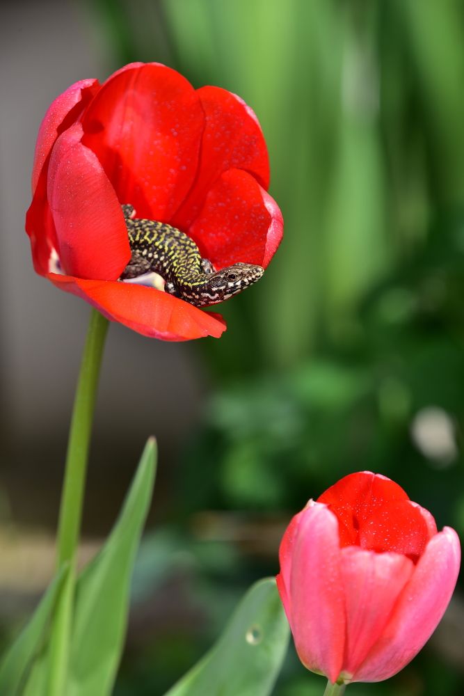 Photograph by Светлана Ивановна